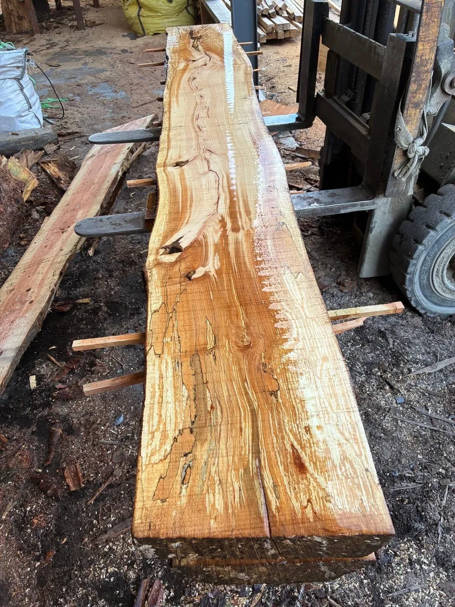 Beech planks - Image 3