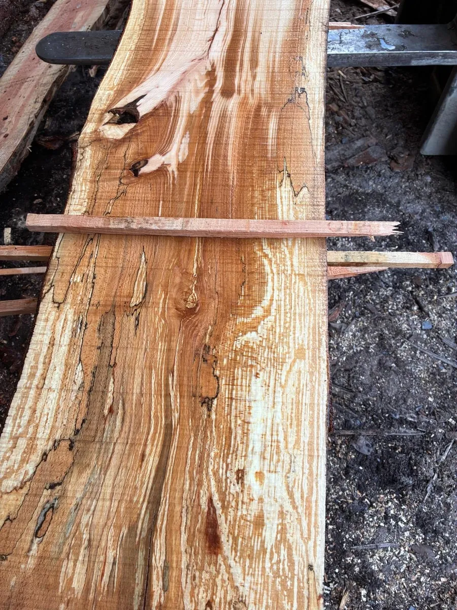 Beech planks - Image 4