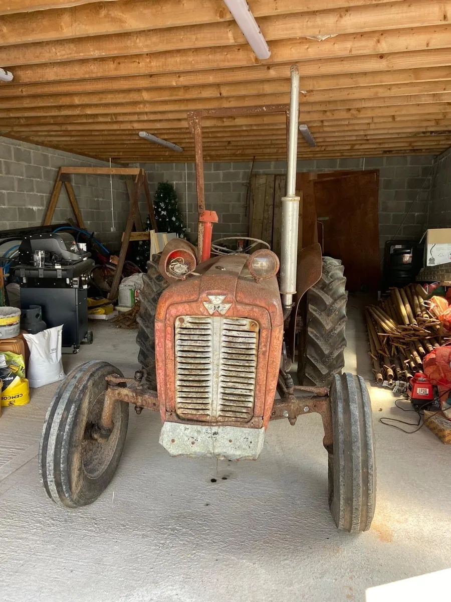 TRACTOR  - 135 Massey Ferguson X - Image 1