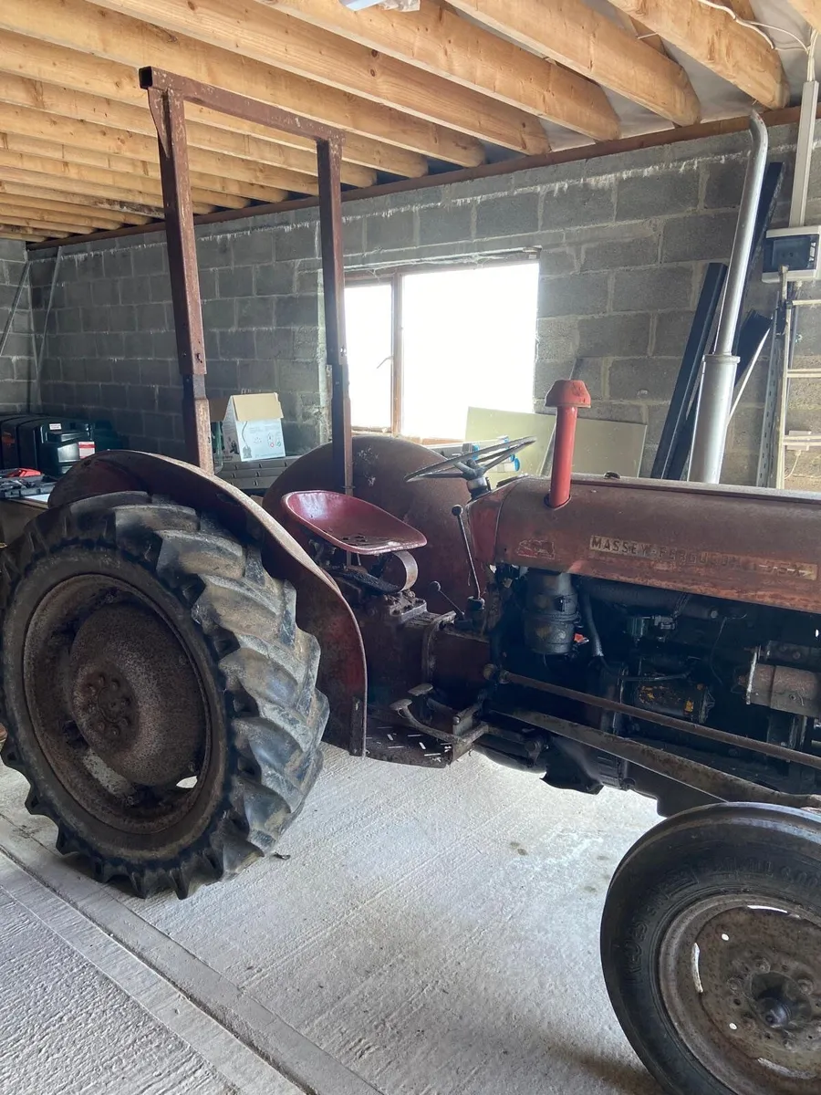TRACTOR  - 135 Massey Ferguson X - Image 2