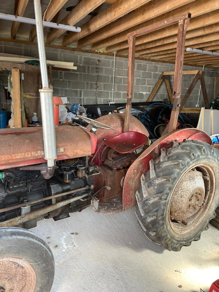 TRACTOR  - 135 Massey Ferguson X - Image 3
