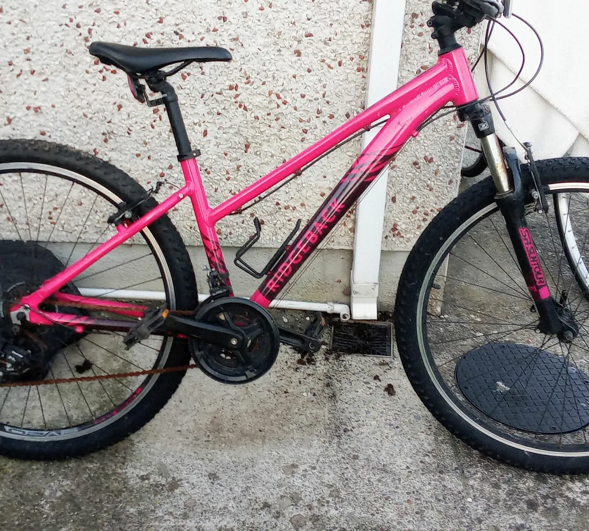 Bicycle - Image 1