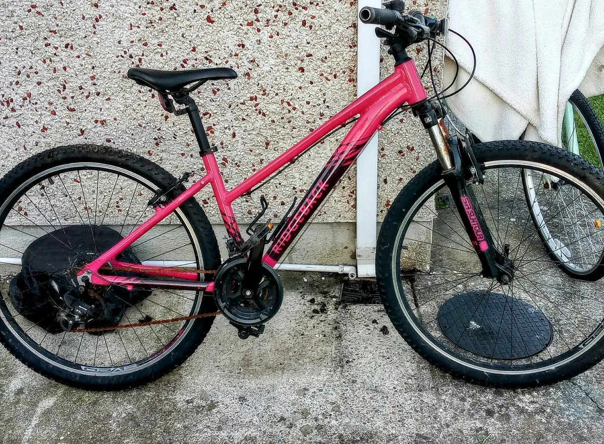 Bicycle - Image 2