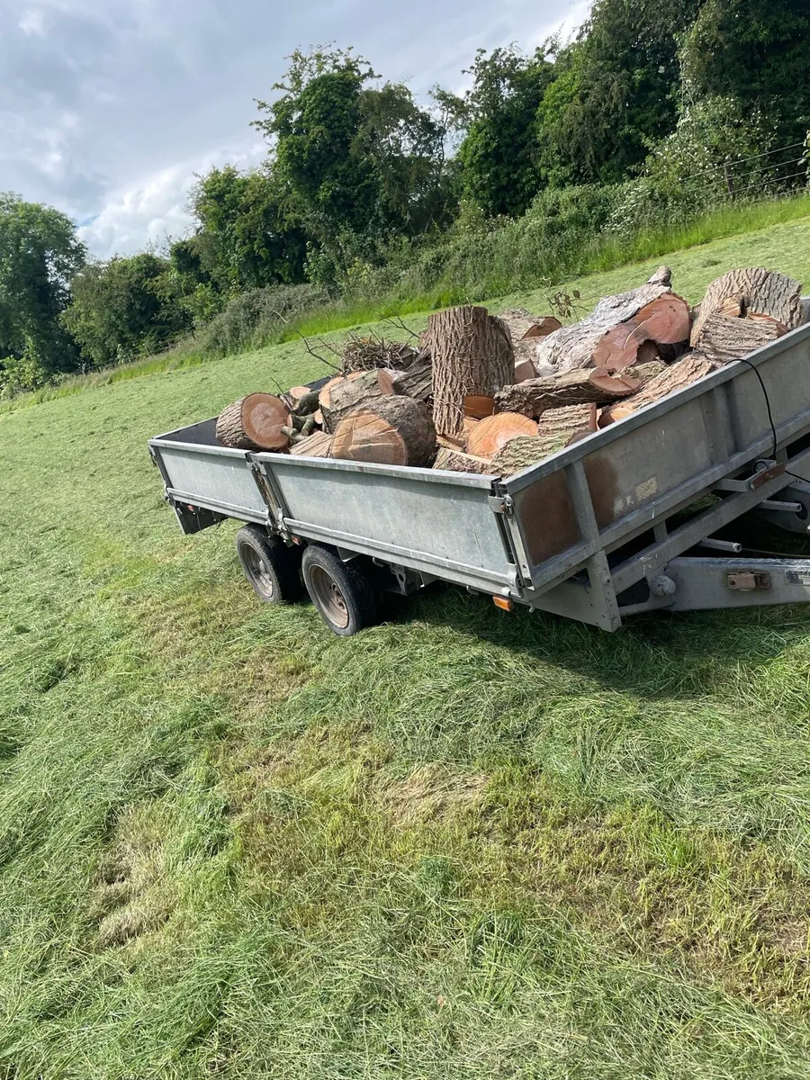 Hardwood firewood - Image 2