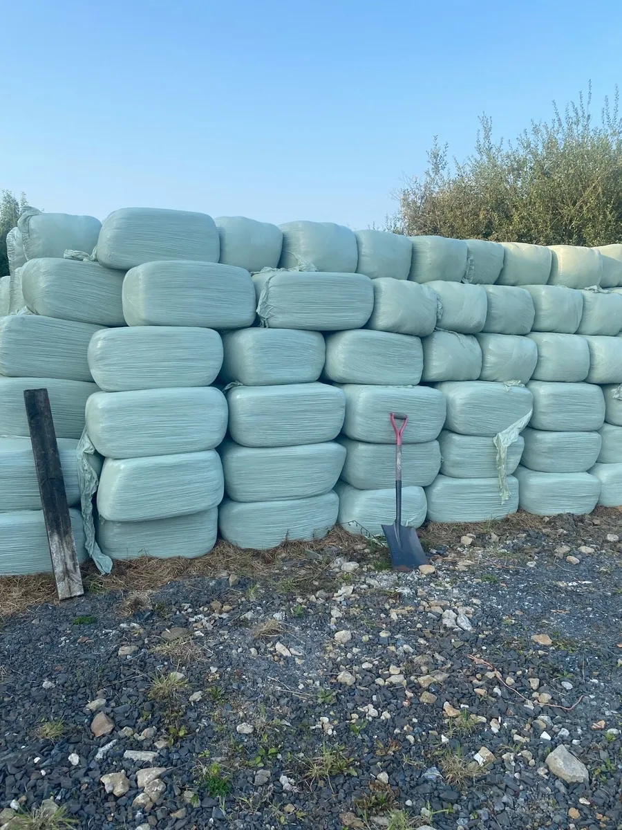 Hay - Image 1