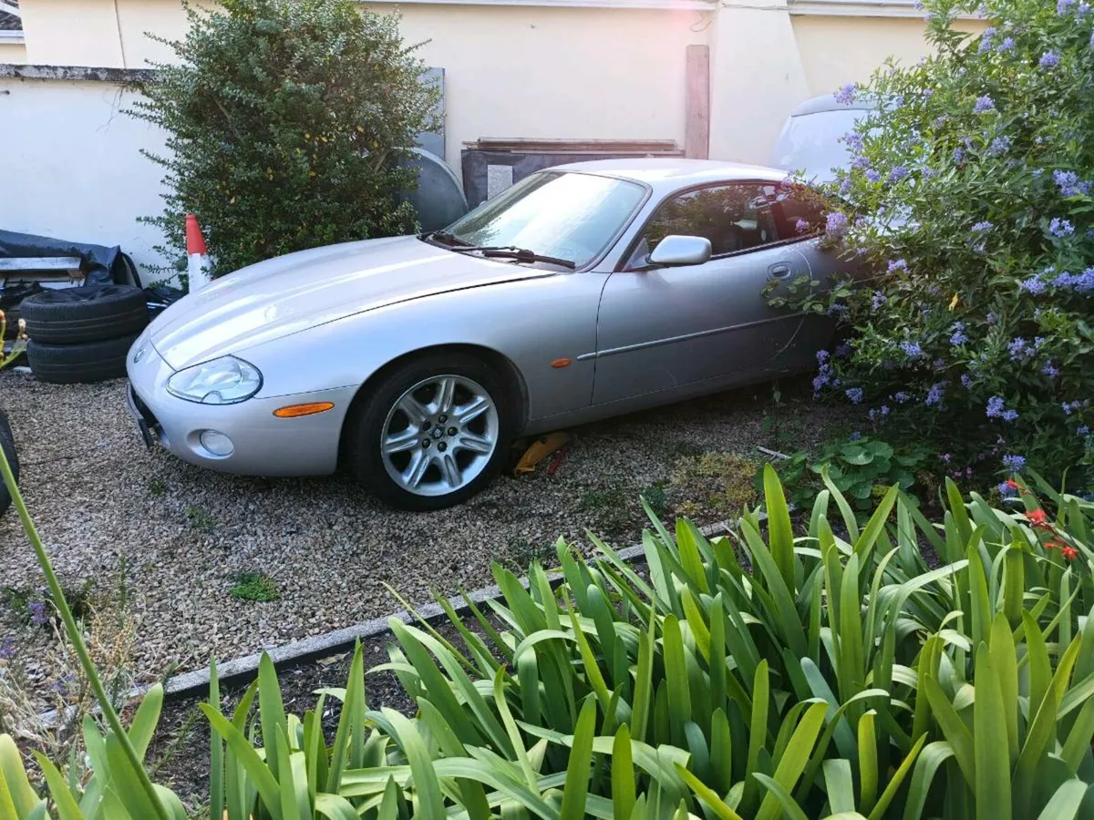 Jaguar XK8 2003 - Image 1
