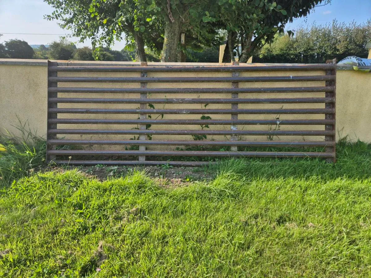 Cattle Grid - Image 1