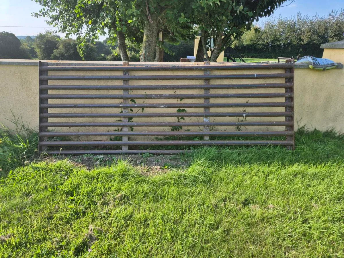 Cattle Grid - Image 2
