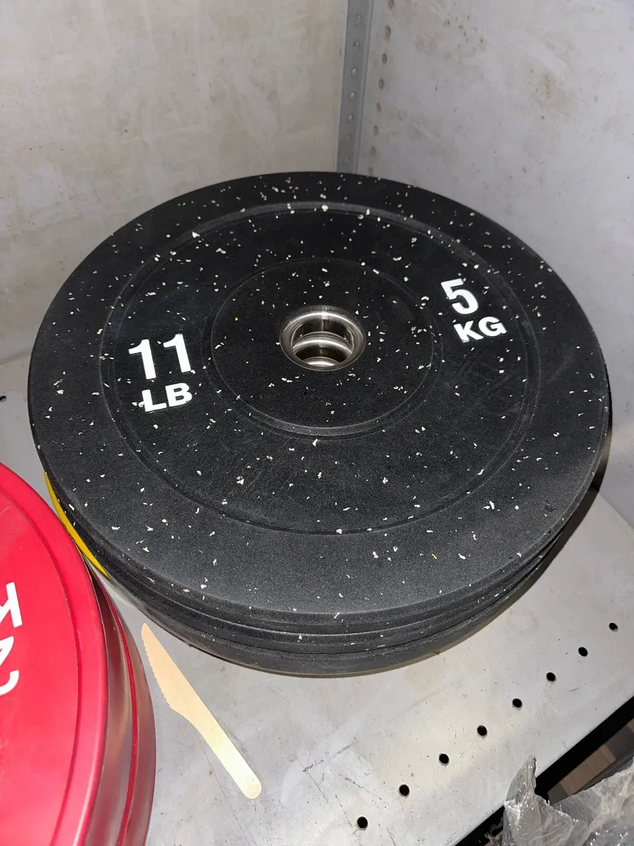 Gym Weight Plates- Bumper Plates - Image 2