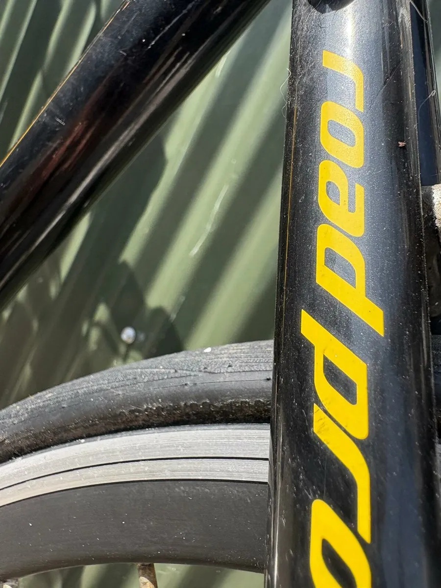 Adults Carrera racer bike for sale - Image 4