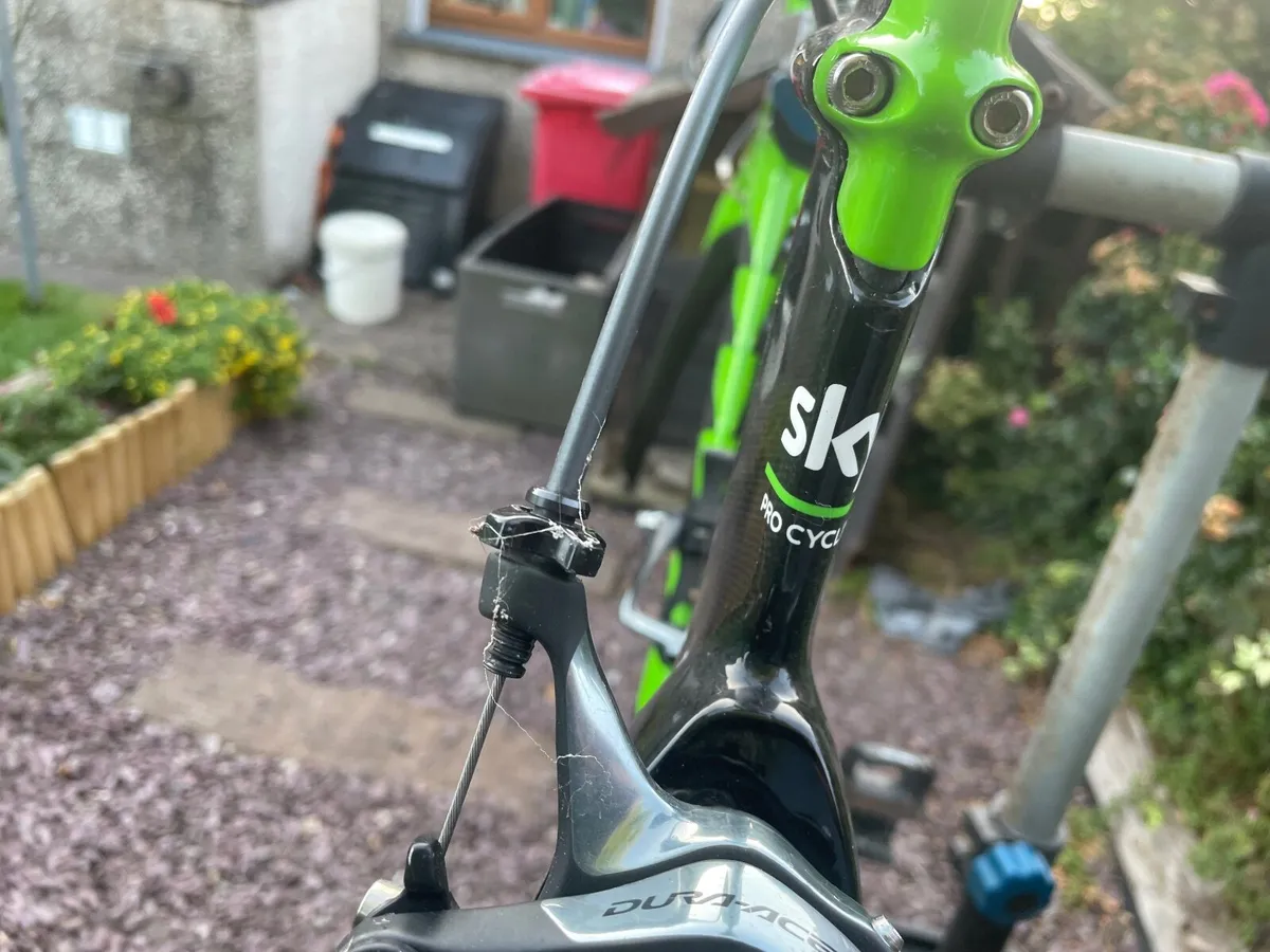 TT Bicycle - Image 3