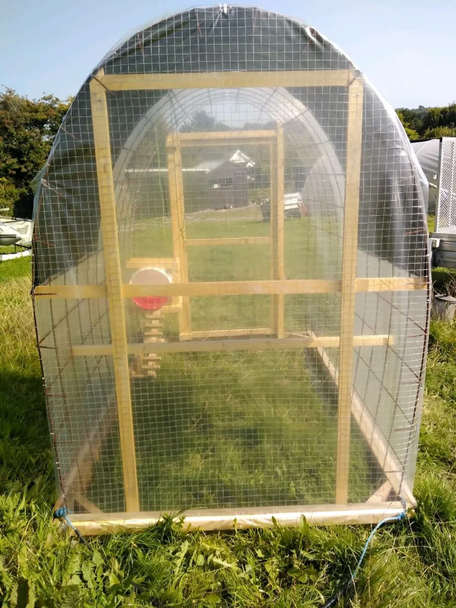 Movable Chicken Coop/ Chicken Tractor - Image 3