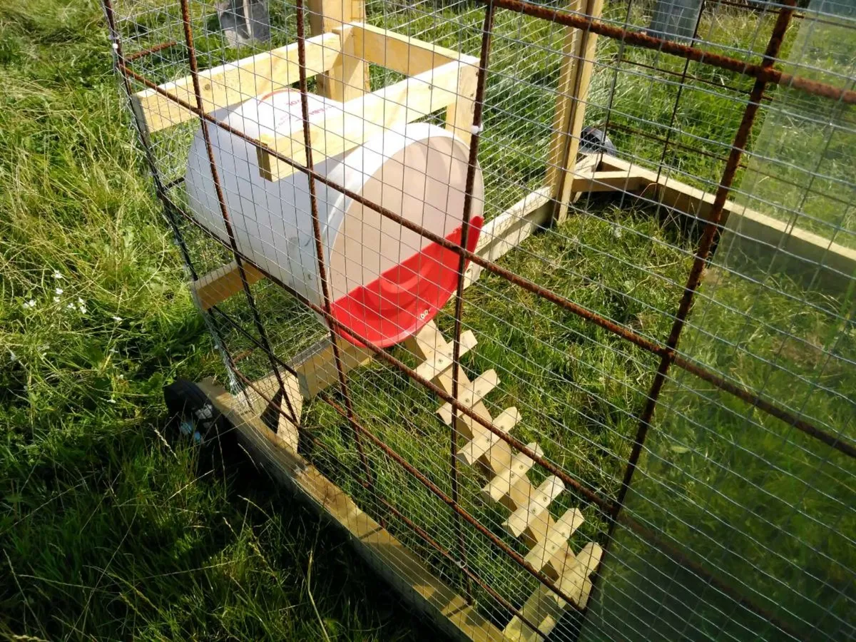 Movable Chicken Coop/ Chicken Tractor - Image 4