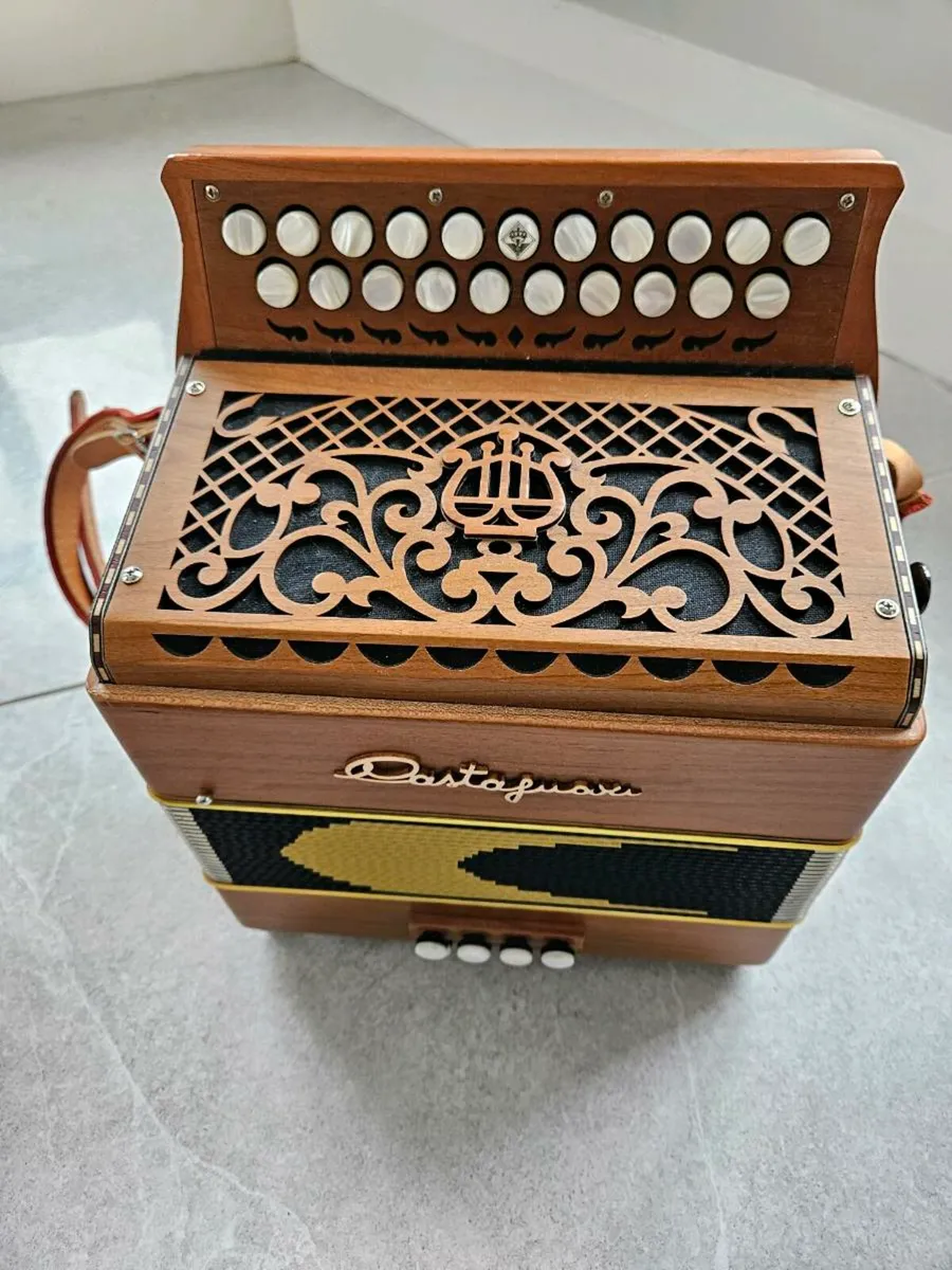 Castagnari Accordion - Image 2
