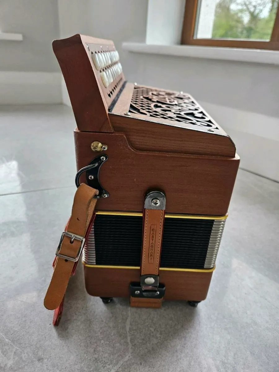Castagnari Accordion - Image 4