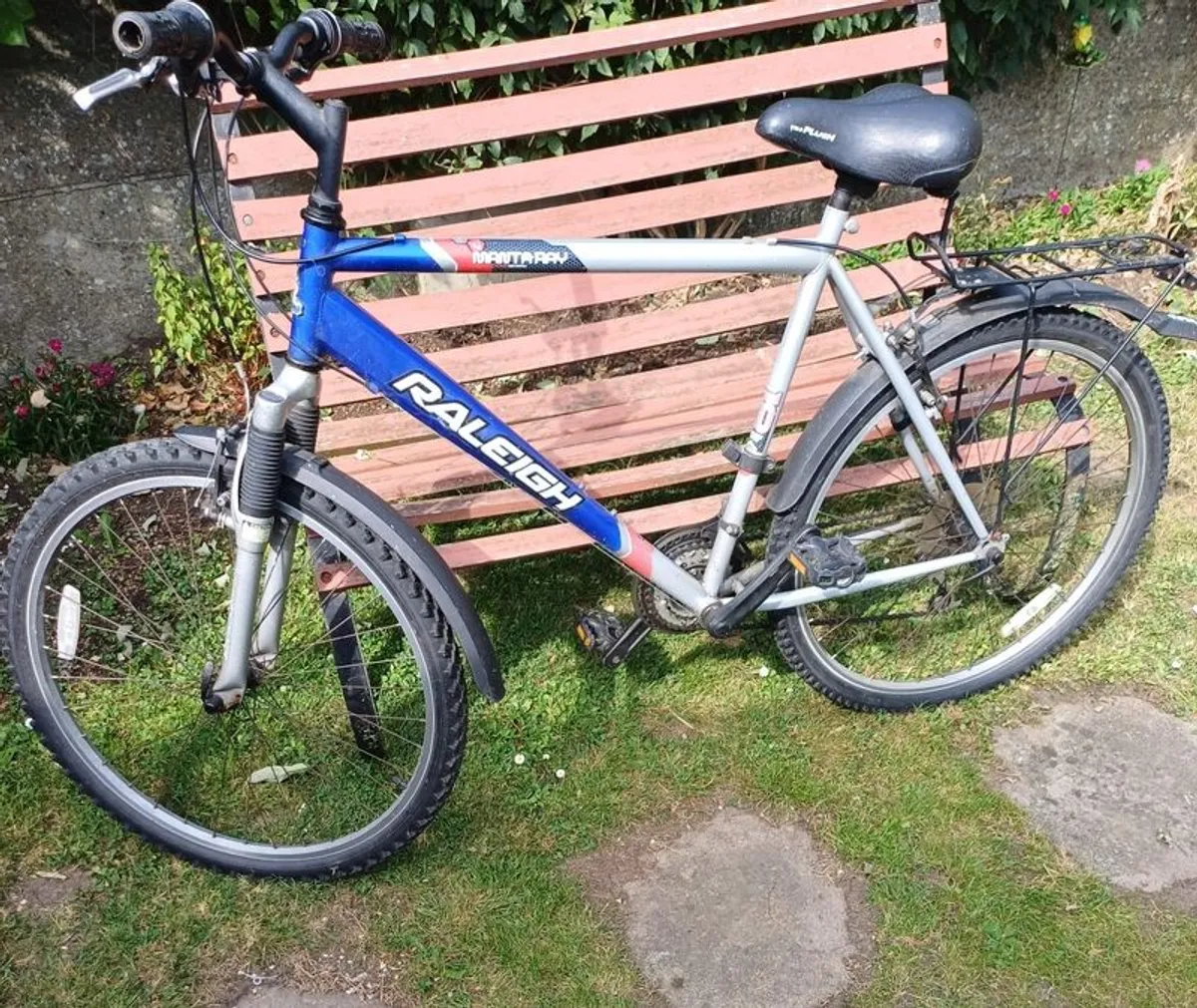 Adults Raleigh Bike - Image 1