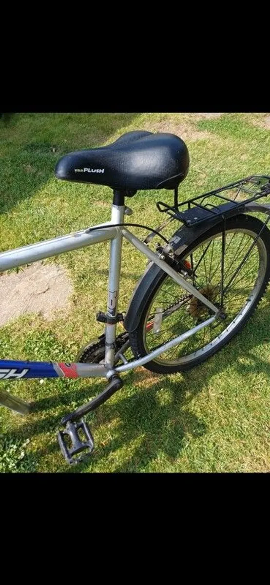 Adults Raleigh Bike - Image 2