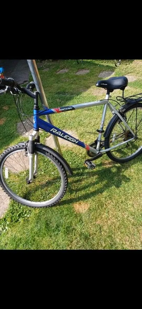 Adults Raleigh Bike - Image 3