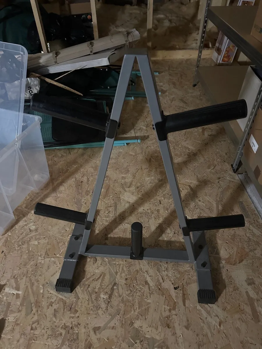 Gym Weight Plate Tree- Gym Storage - Image 2