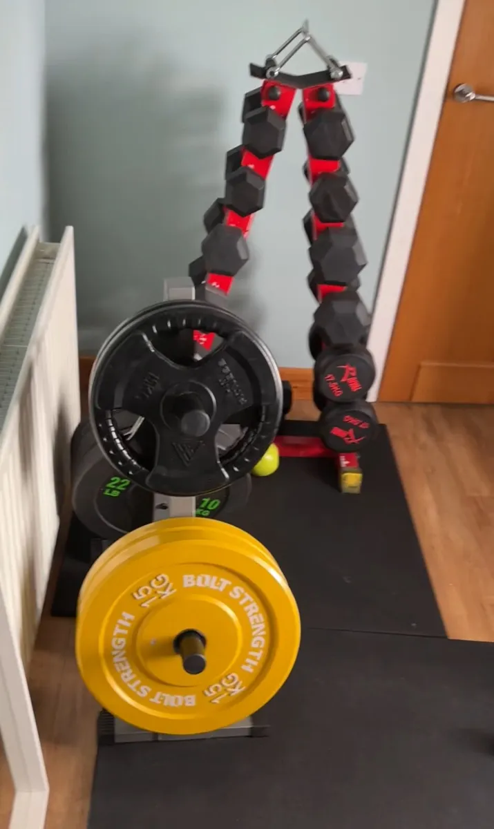 Gym Weight Plate Tree- Gym Storage - Image 3