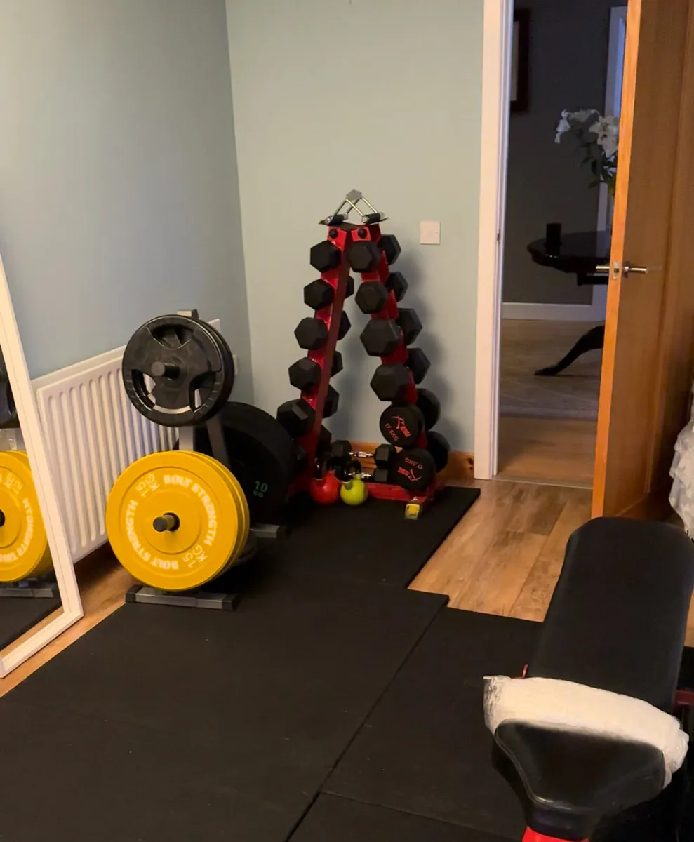 Gym Weight Plate Tree- Gym Storage - Image 4