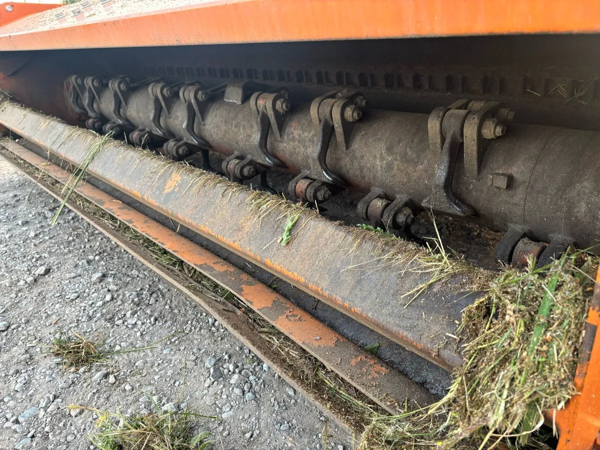 Berti 270 mulcher - Image 3