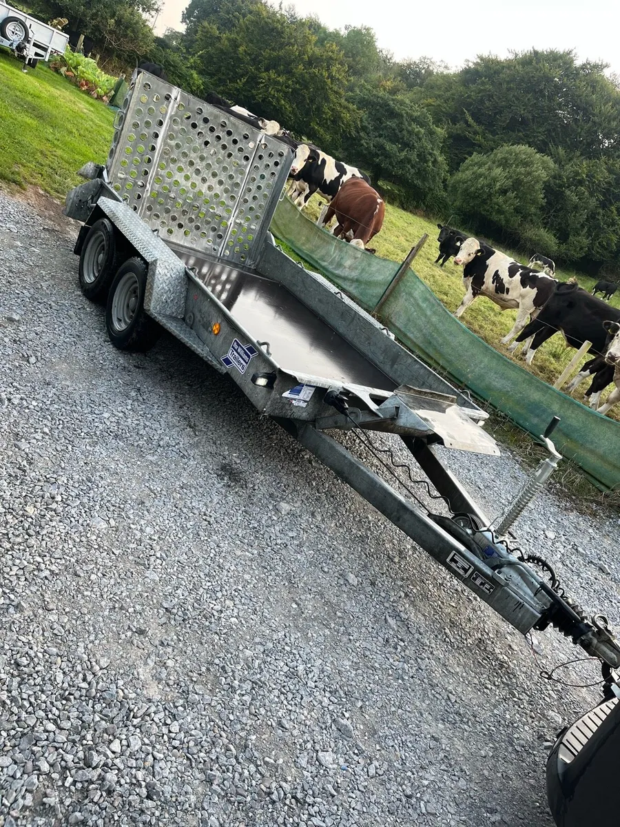I for Williams plant trailer 10 by 5,4 2018 - Image 1