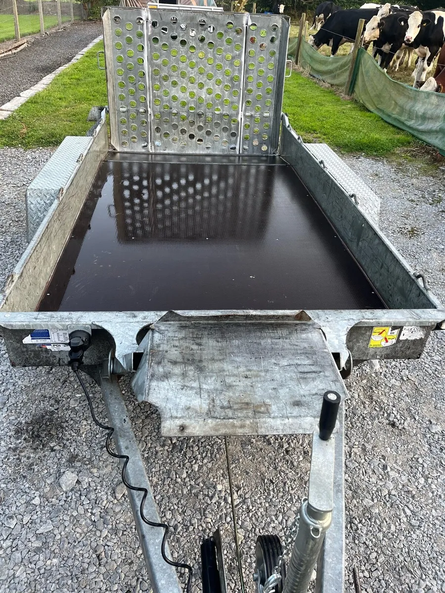 I for Williams plant trailer 10 by 5,4 2018 - Image 2