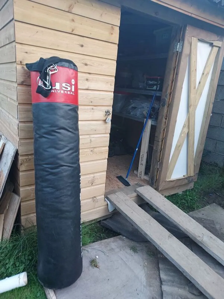 Punch /kick - Image 2