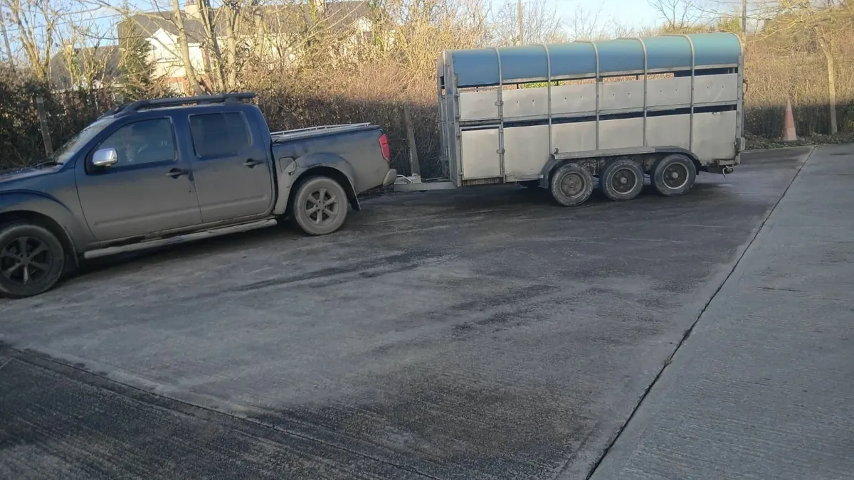 Livestock haulage - Image 2