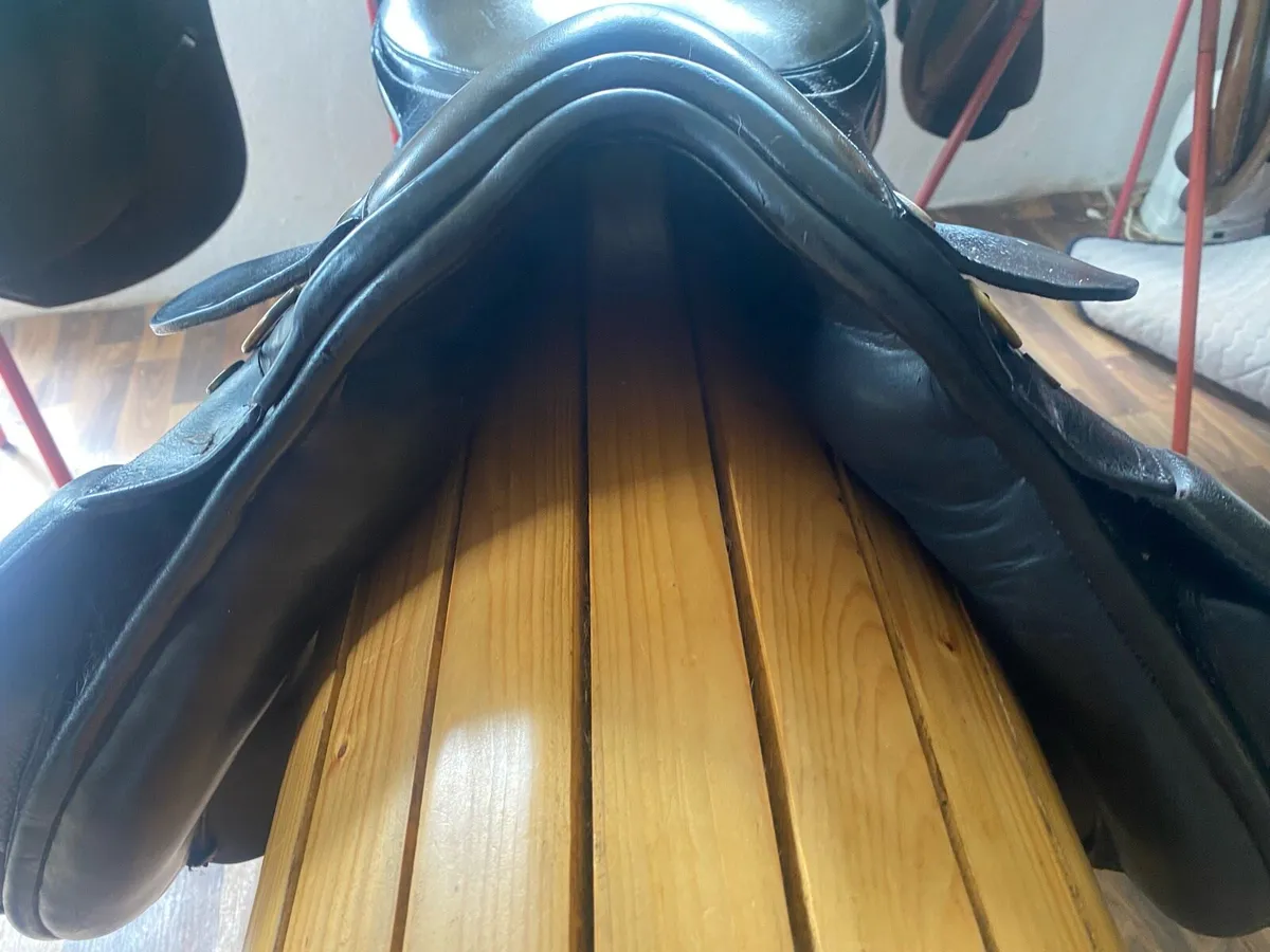 Santa Cruz black Leather jumping saddle - Image 2