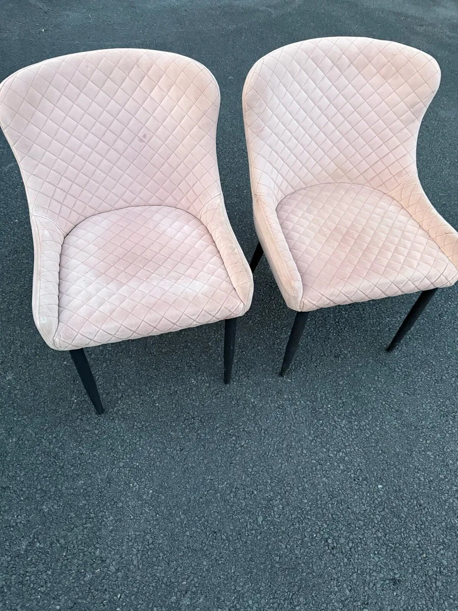 Pink Velvet Dining Chairs C2 - Image 1