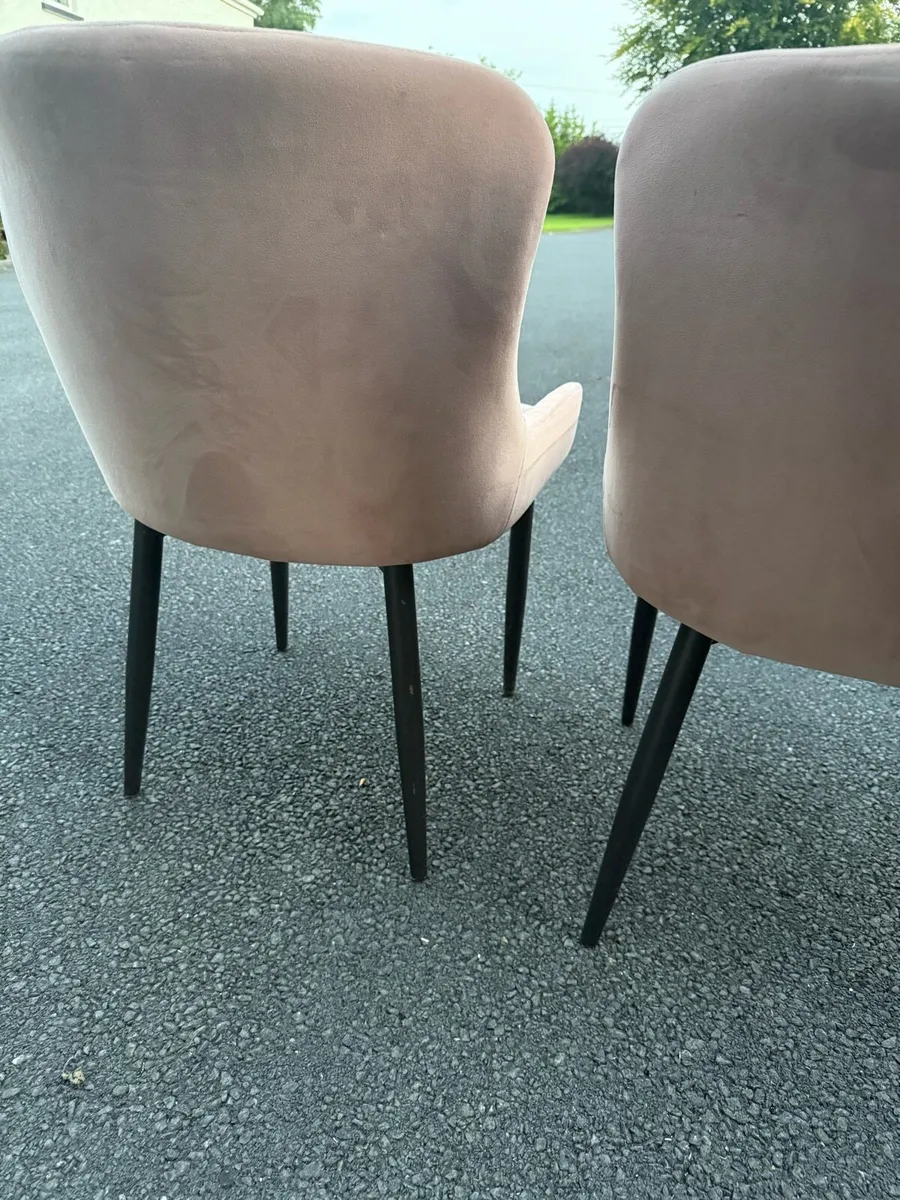 Pink Velvet Dining Chairs C2 - Image 2