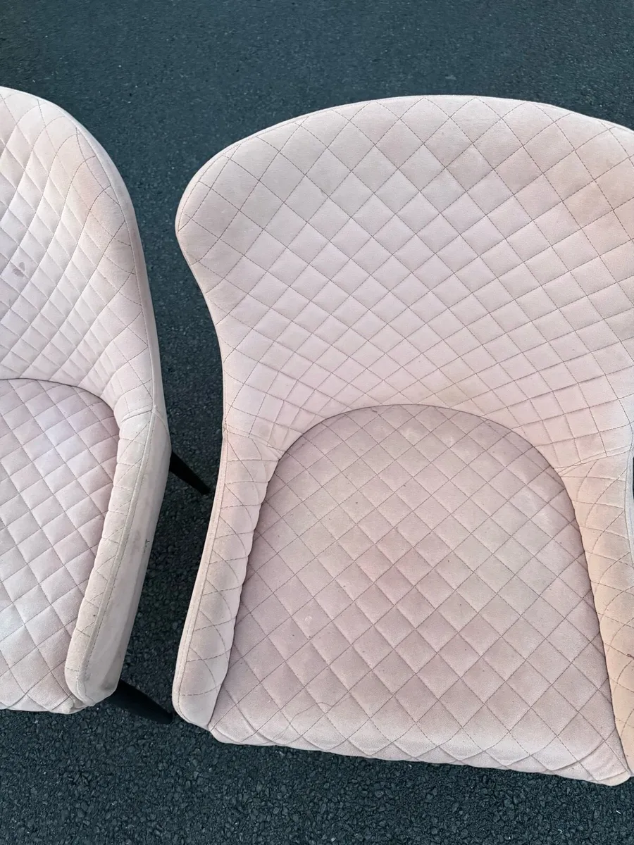 Pink Velvet Dining Chairs C2 - Image 3