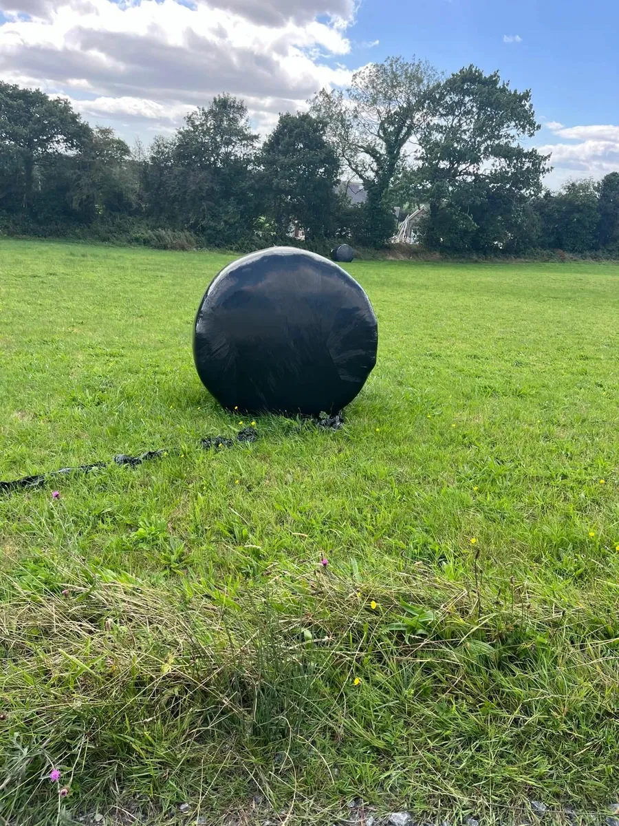 Haylage - Image 2