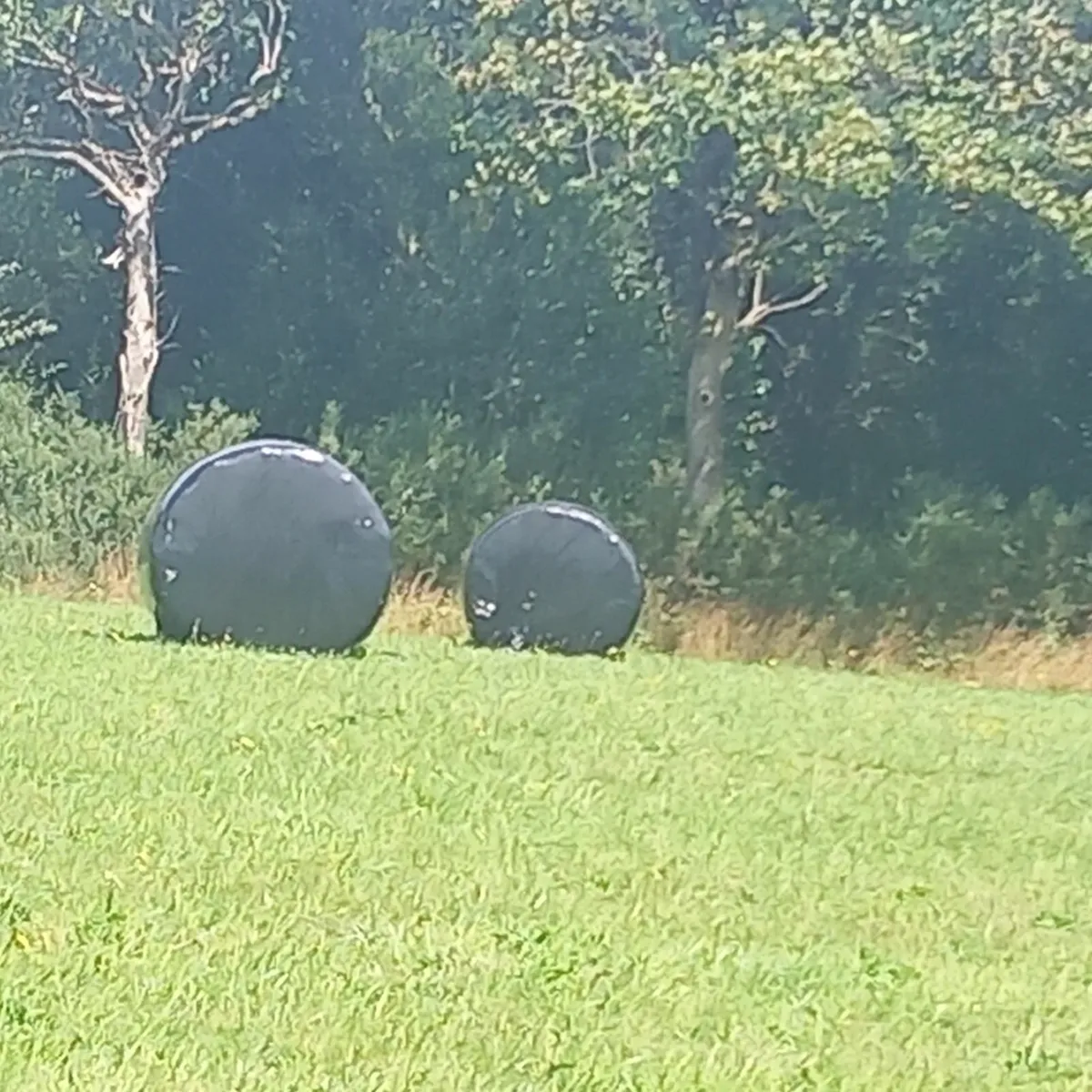 Haylage - Image 1