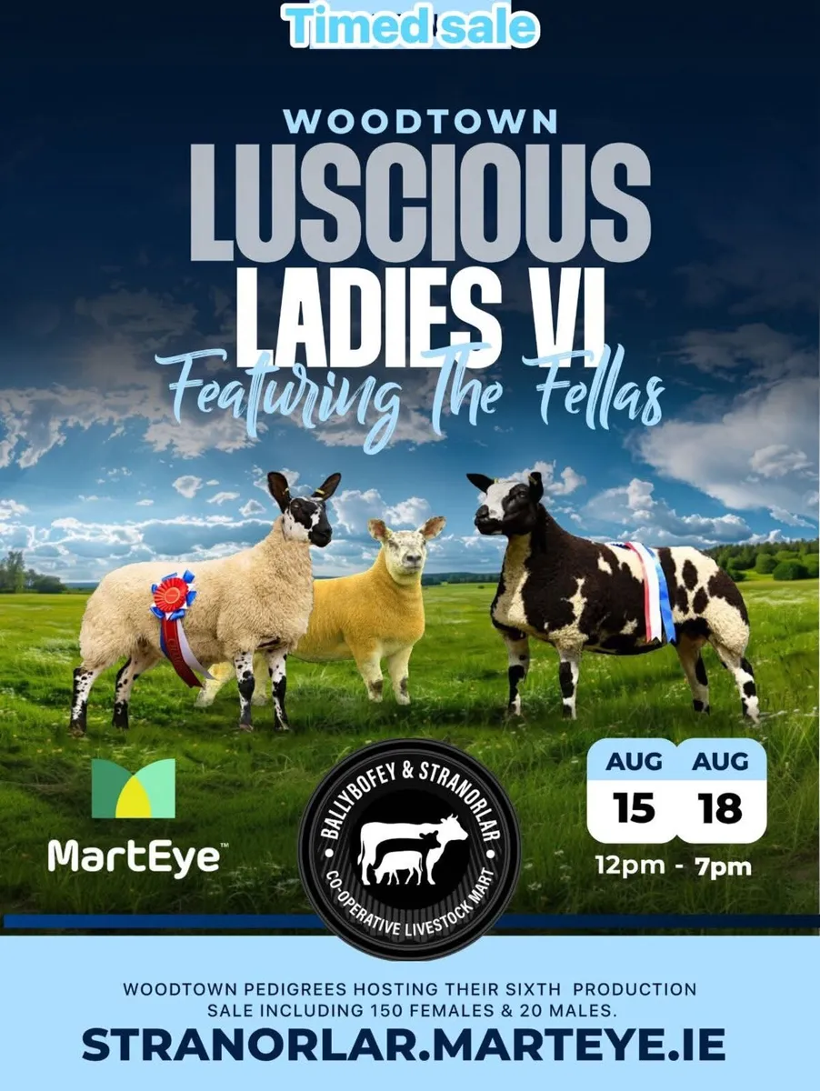 🔥🐑 Luscious ladies VI 2025 🔥🐑