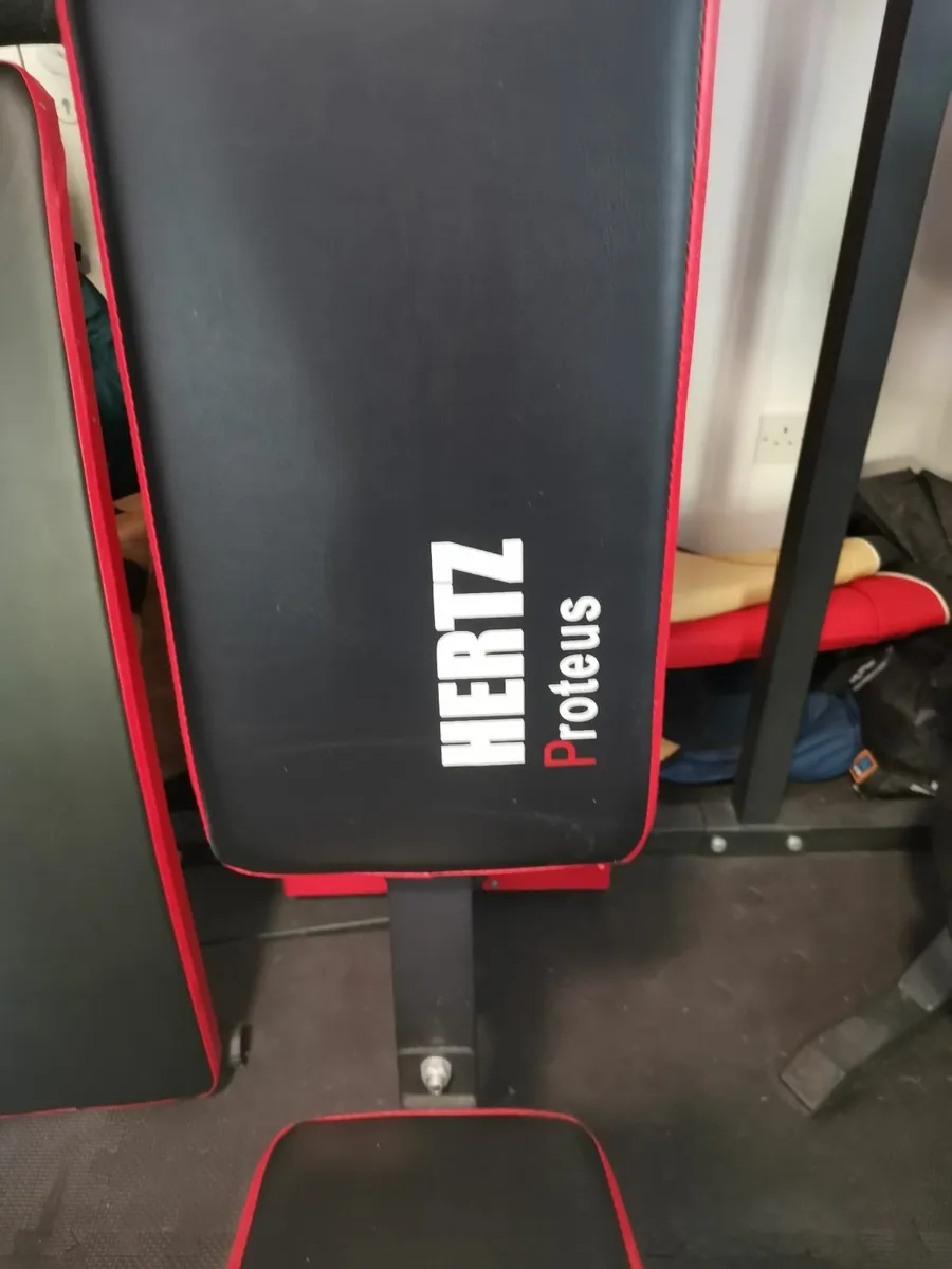 Multi-Gym Weight Station - Image 4