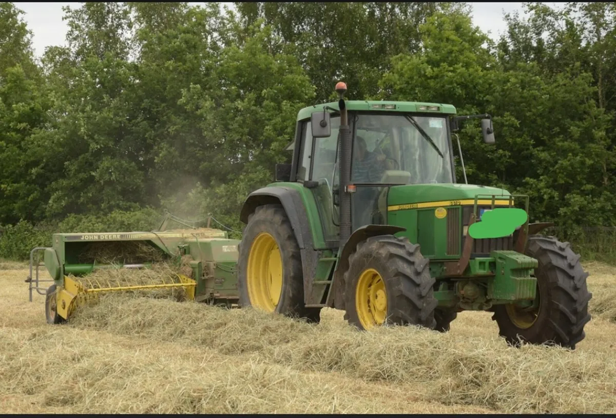 Top quality Square bales of hay - Image 1