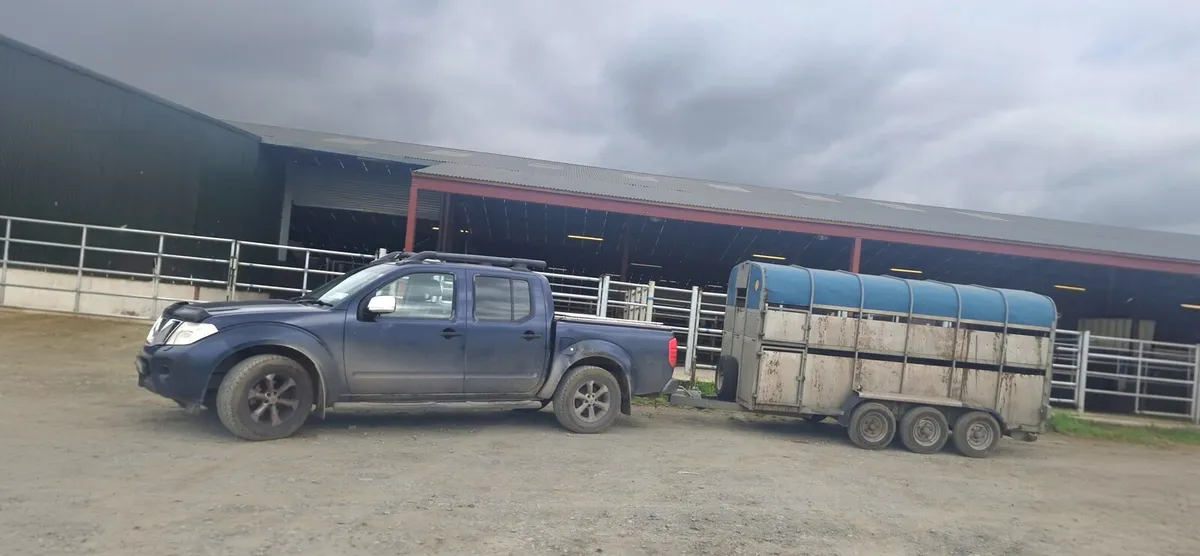 Livestock haulage - Image 3