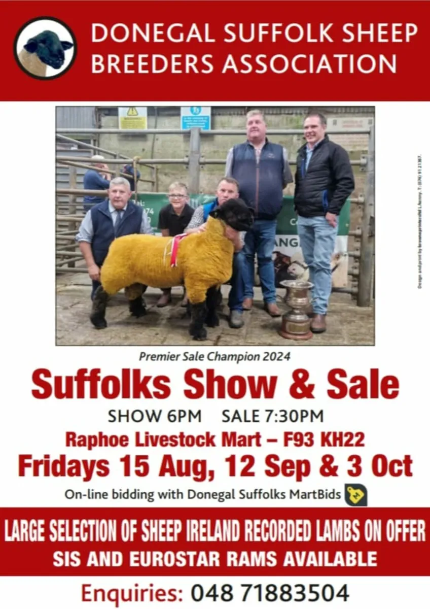 Donegal Suffolk sale Friday the 15th of August
