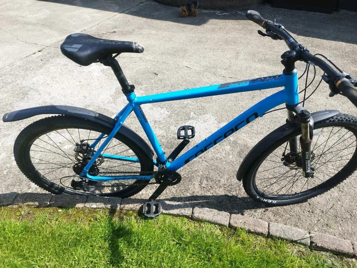 3 bicycles - Image 2