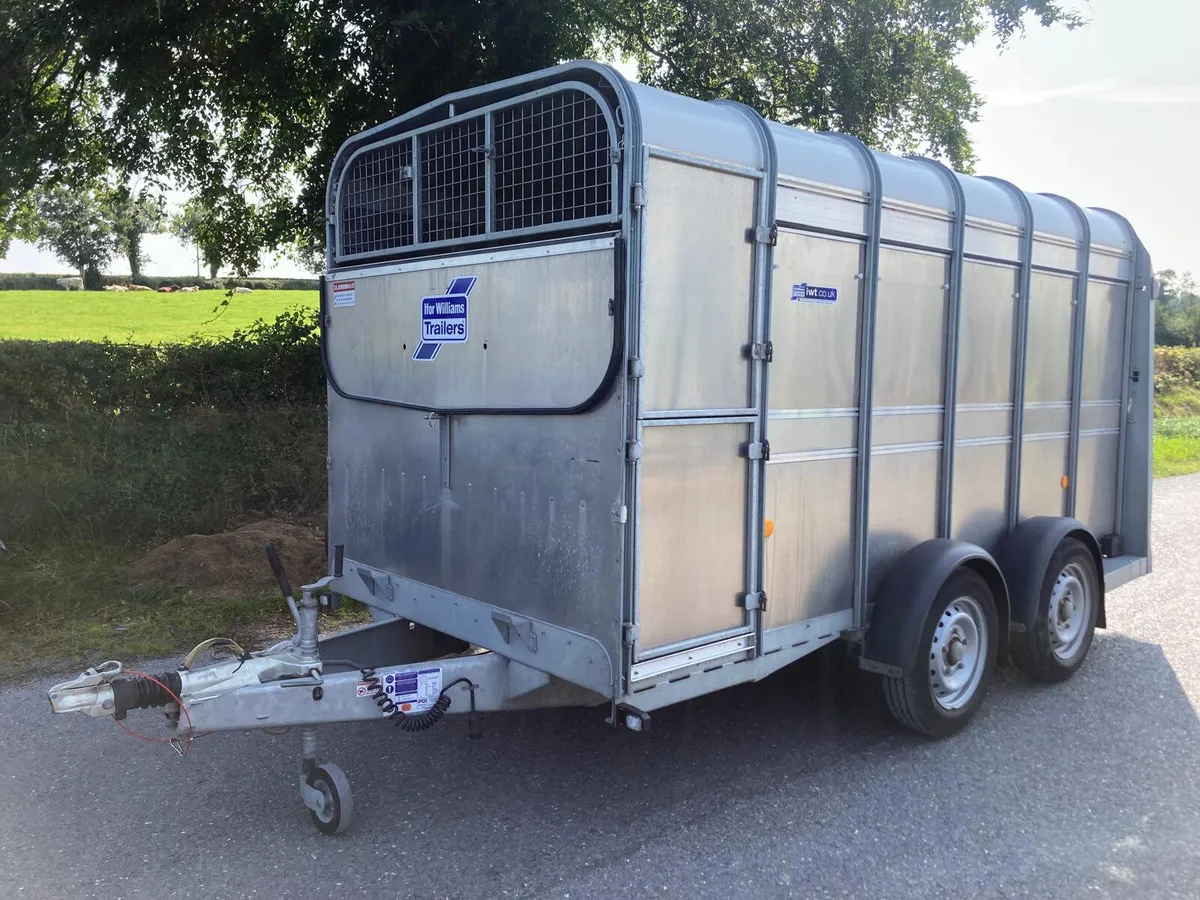 Sept 23 Ifor Williams 12ft Cattle Trailer - Image 1