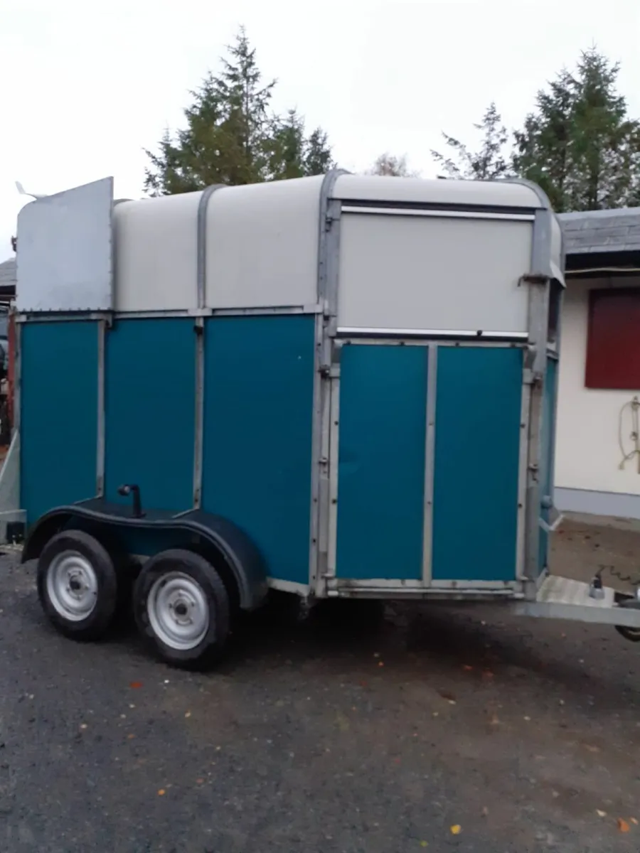Double Horse Box - Image 3