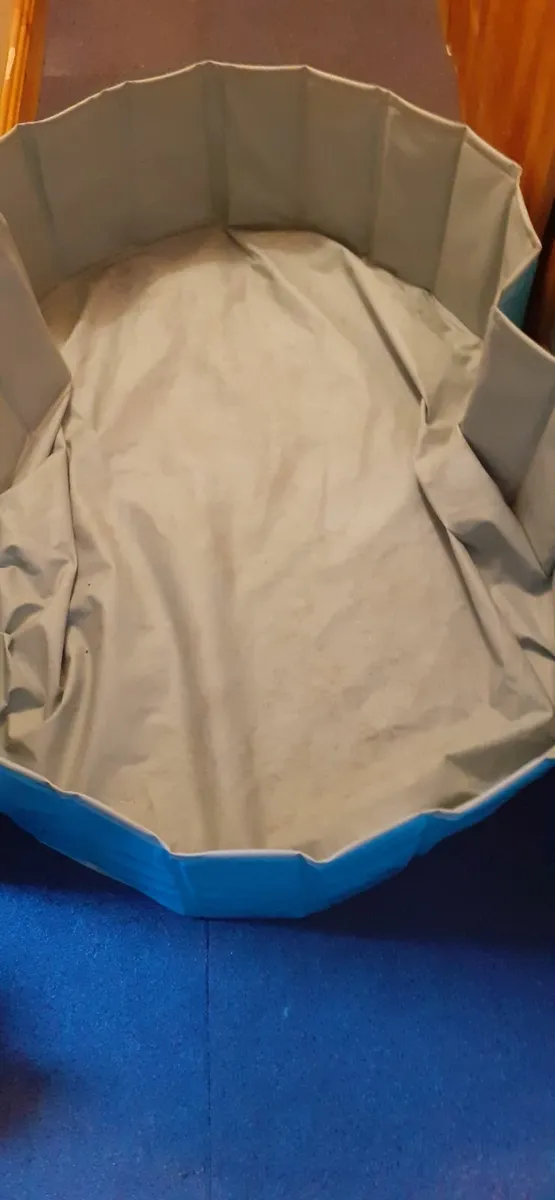 Dog Swimming Pool –Zoofari Foldable - Image 2