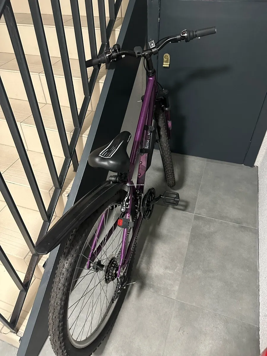 Bike - Image 1