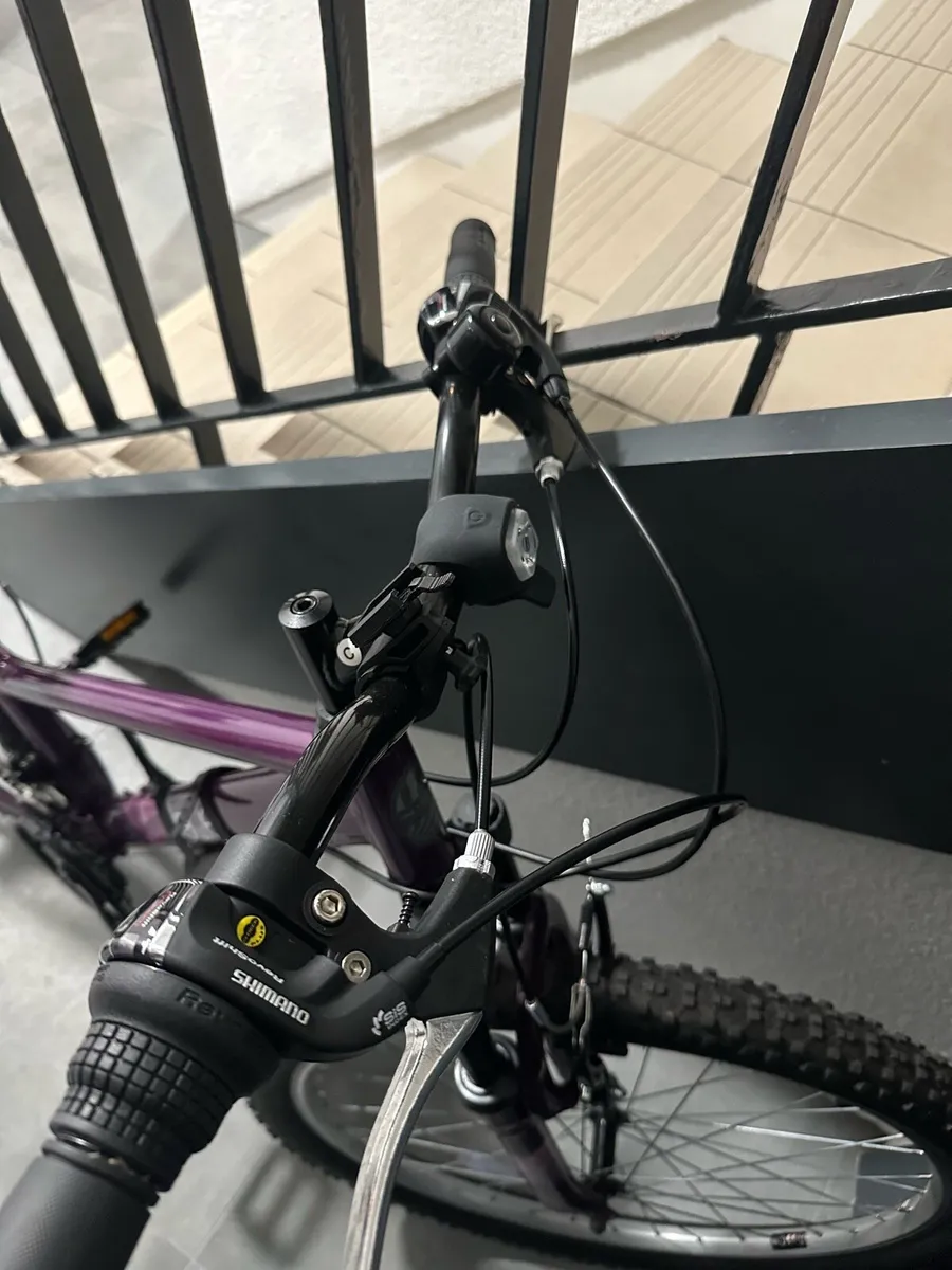 Bike - Image 2