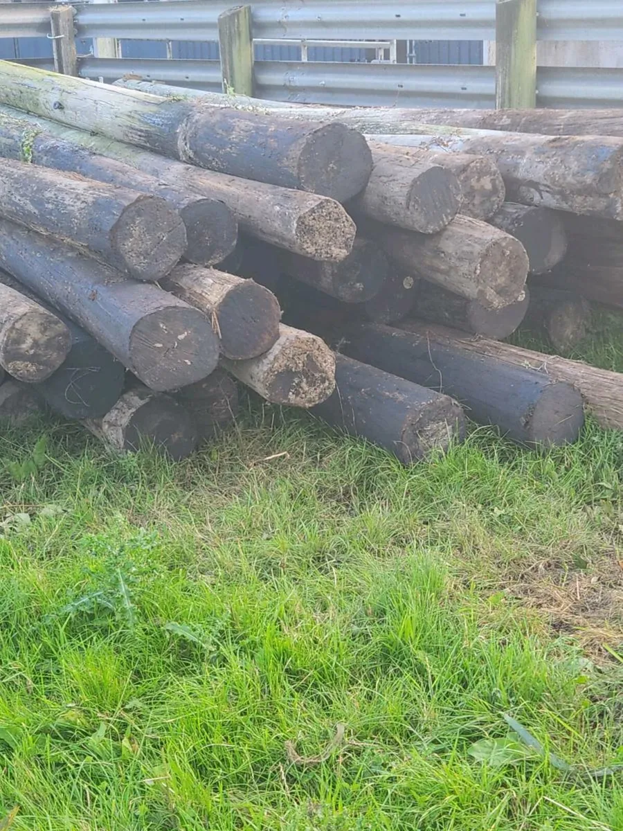 Eircom telegraph poles - Image 2