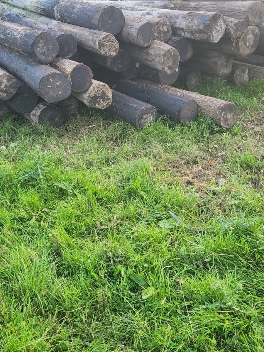 Eircom telegraph poles - Image 3