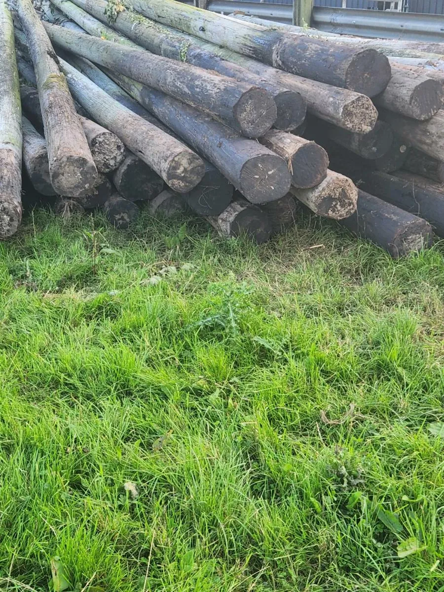 Eircom telegraph poles - Image 4